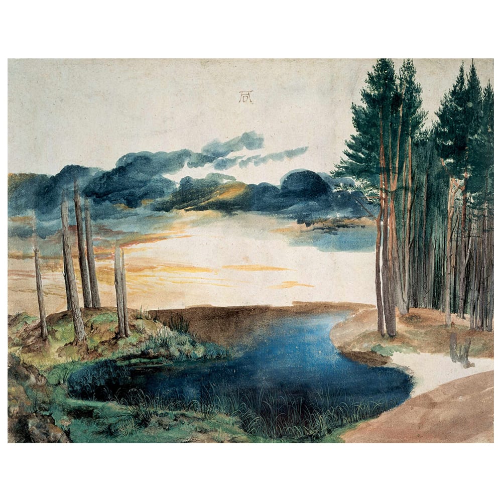 Stampa su tela - Uno Stagno Nel Bosco - Albrecht Dürer cm. 80x100 - Multicolore - PES - Poliestere