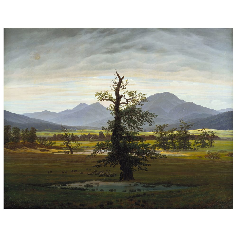 Stampa su tela - Albero Solitario - Caspar David Friedrich cm. 50x60 - Multicolore - PES - Poliestere