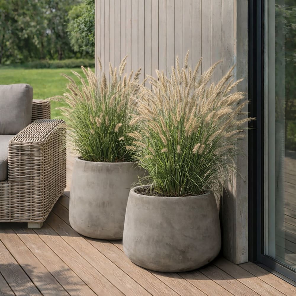 Set de 2 pots ronds en terre d'argile forme basse 41/55cm