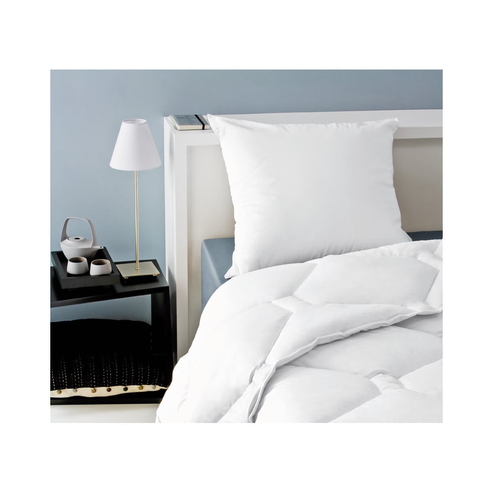 Lot de 2 oreillers 60 x 60 cm polyester moelleux blanc