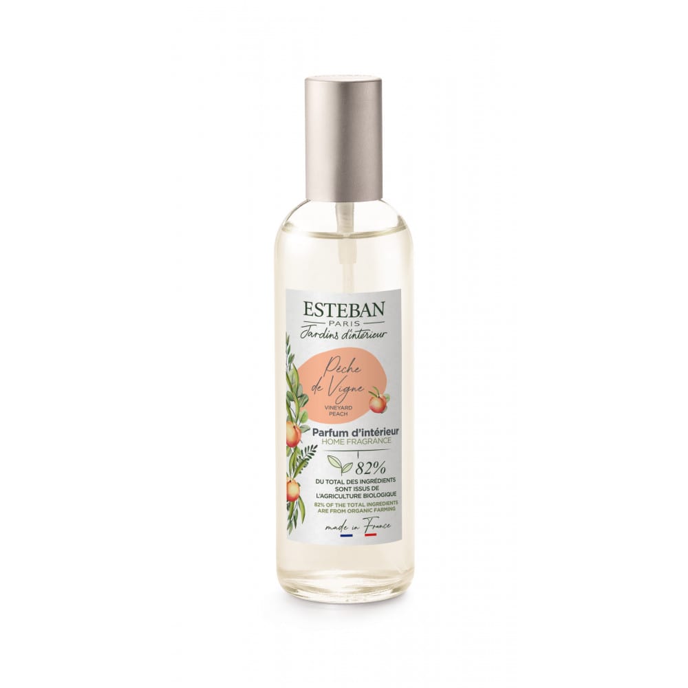 Esteban Paris Parfums Vaporisateur d'ambiance 100 ml Transparent Verre
