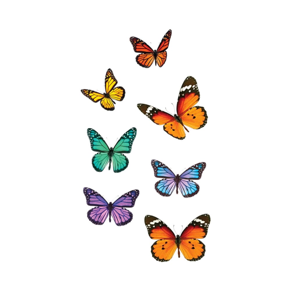 Adhésifs de vitres papillons