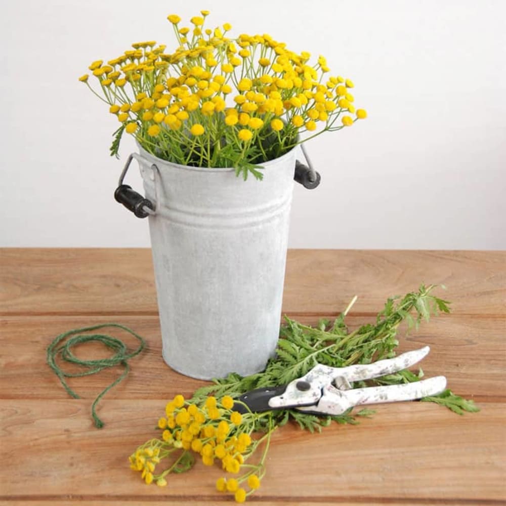 Vase en zinc patiné de 21 cm - Maisons du Monde