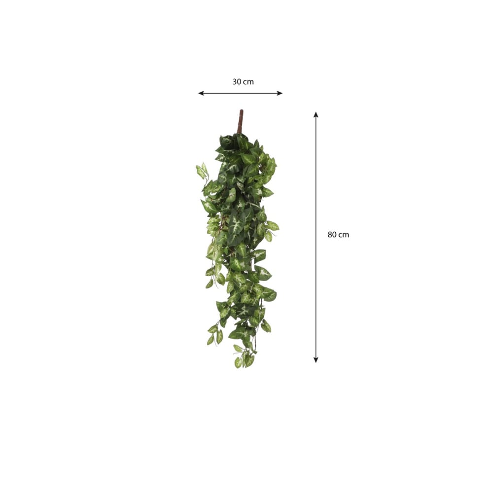Planta artificial fittonia verde h15xb30xl80cm - Maisons du Monde
