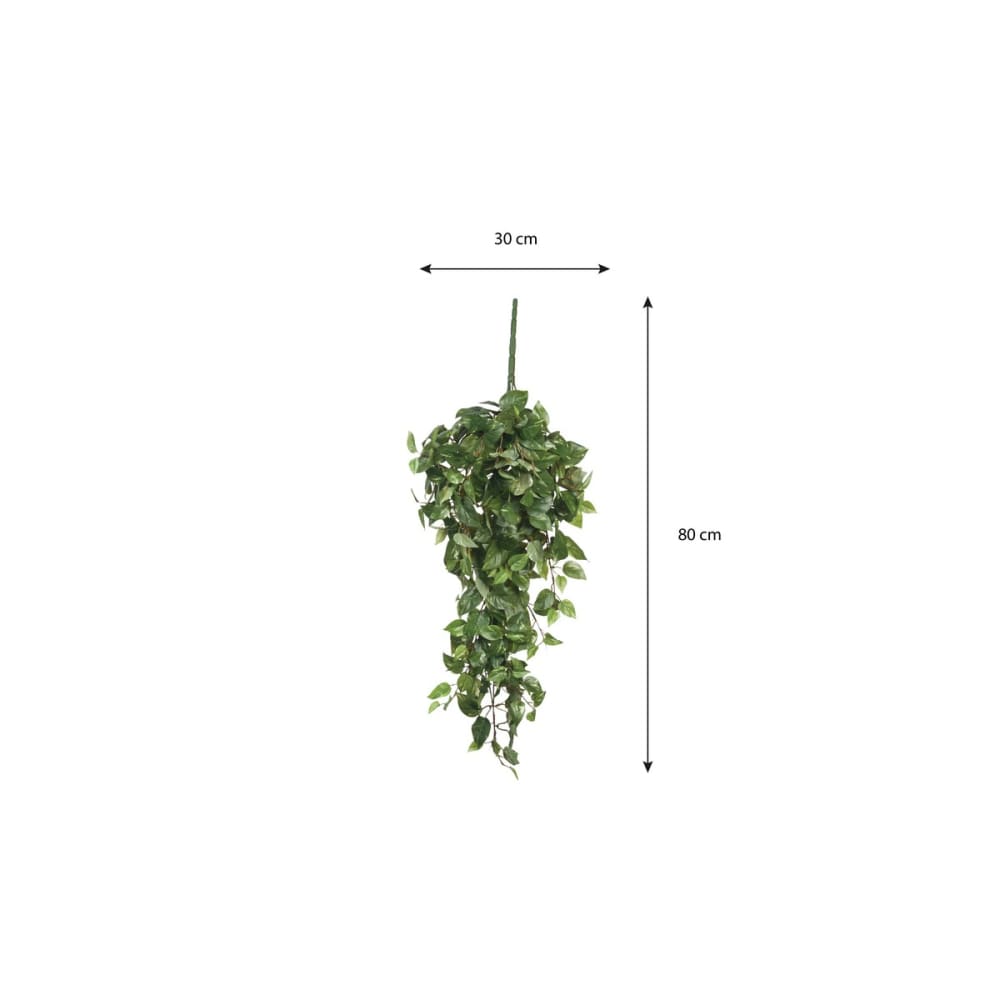 Planta artificial scindapsus hanging verde h80xb15xl30cm - Maisons du Monde