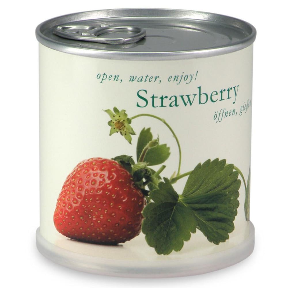 Mac Flower's Fraises à faire pousser boîte métal Multicolore