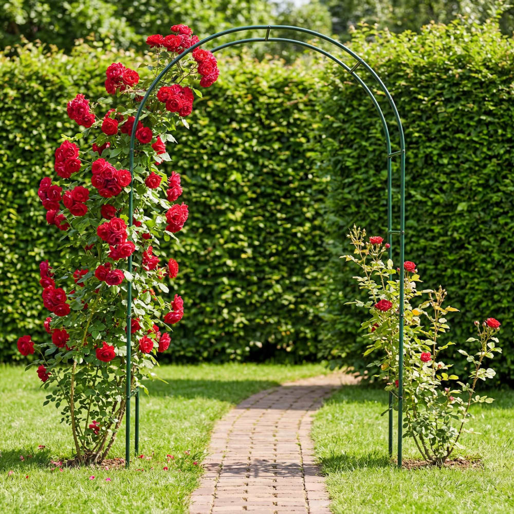 Arco per rose rampicanti in acciaio verde - Acciaio
