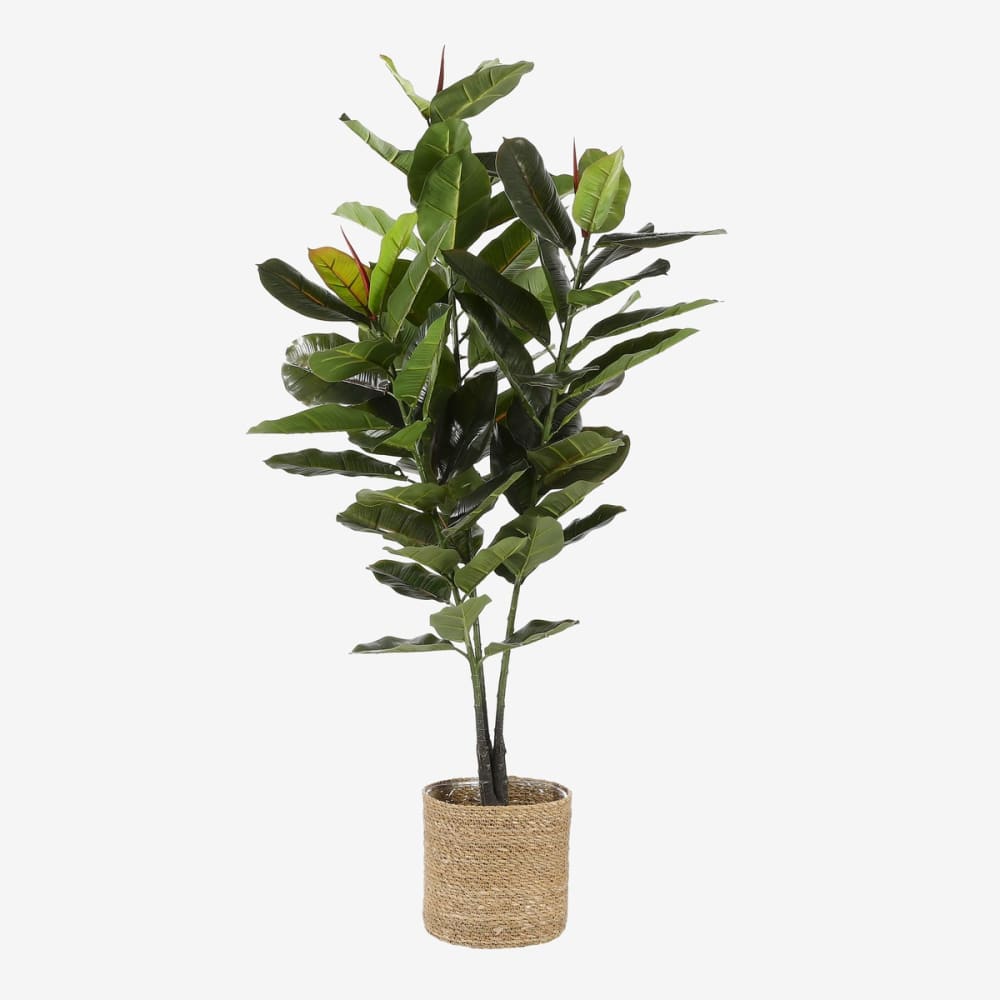 Jardinera atlantic marrón claro h20xb20xl20cm - Maisons du Monde