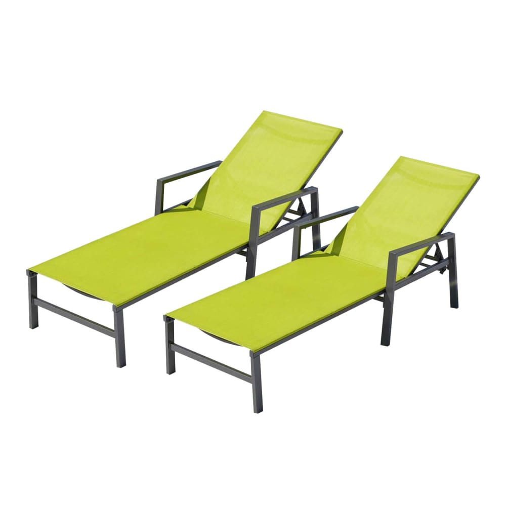 Lot de 2 transats en aluminium gris foncé et vert