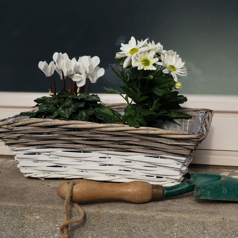 Jardinière osier blanc et gris 38 cm — vue 3