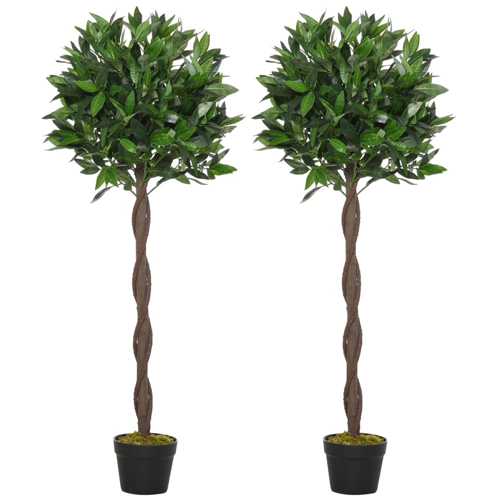 Lot de 2 lauriers boules - pot
