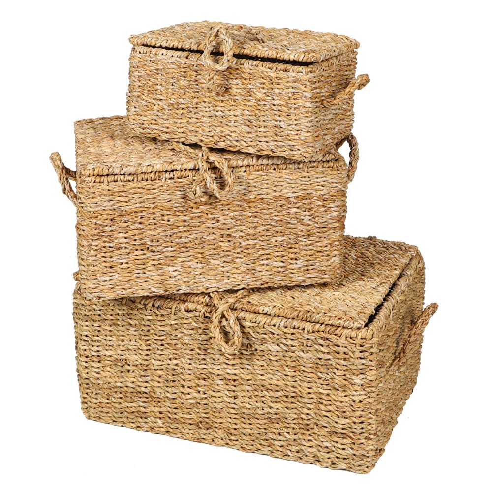 Natural Living Set de 3 malles en jacinthe d'eau tressée - 50x34x25cm Marron Fibres Naturelles