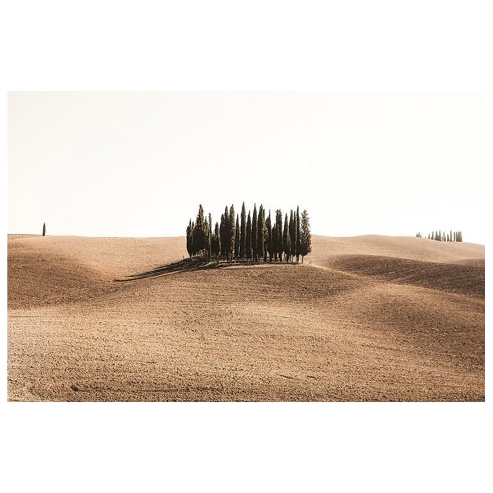 Tableau impression sur toile - Oasis Idyllique 50x70cm