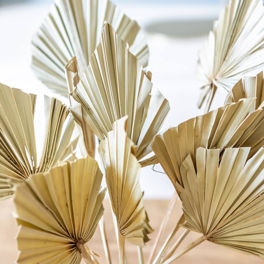 Bouquet de fleurs séchées palm spear naturelle x 10 feuilles - Maisons du Monde