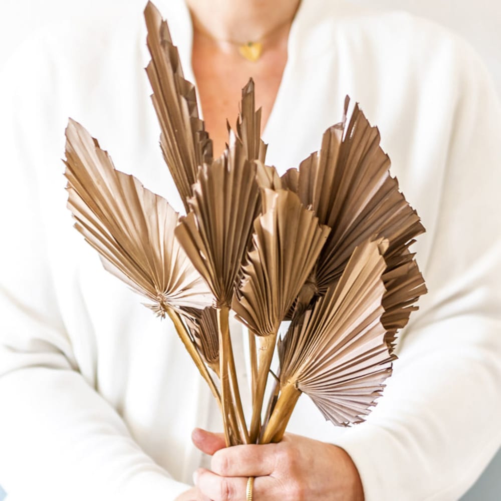 Bouquet de fleurs séchées palm spear chocolat x 10 feuilles - Maisons du Monde