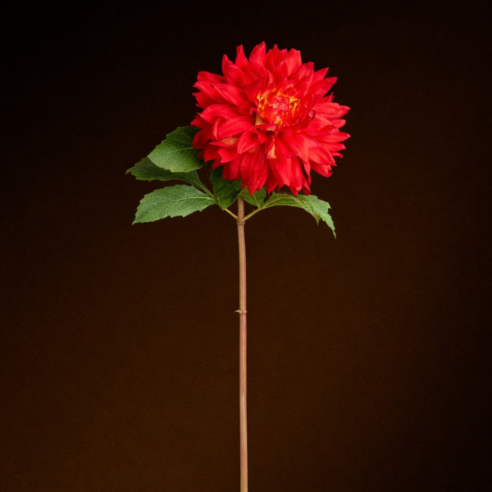 Stelo di dalia rossa h70 - Sia Deco