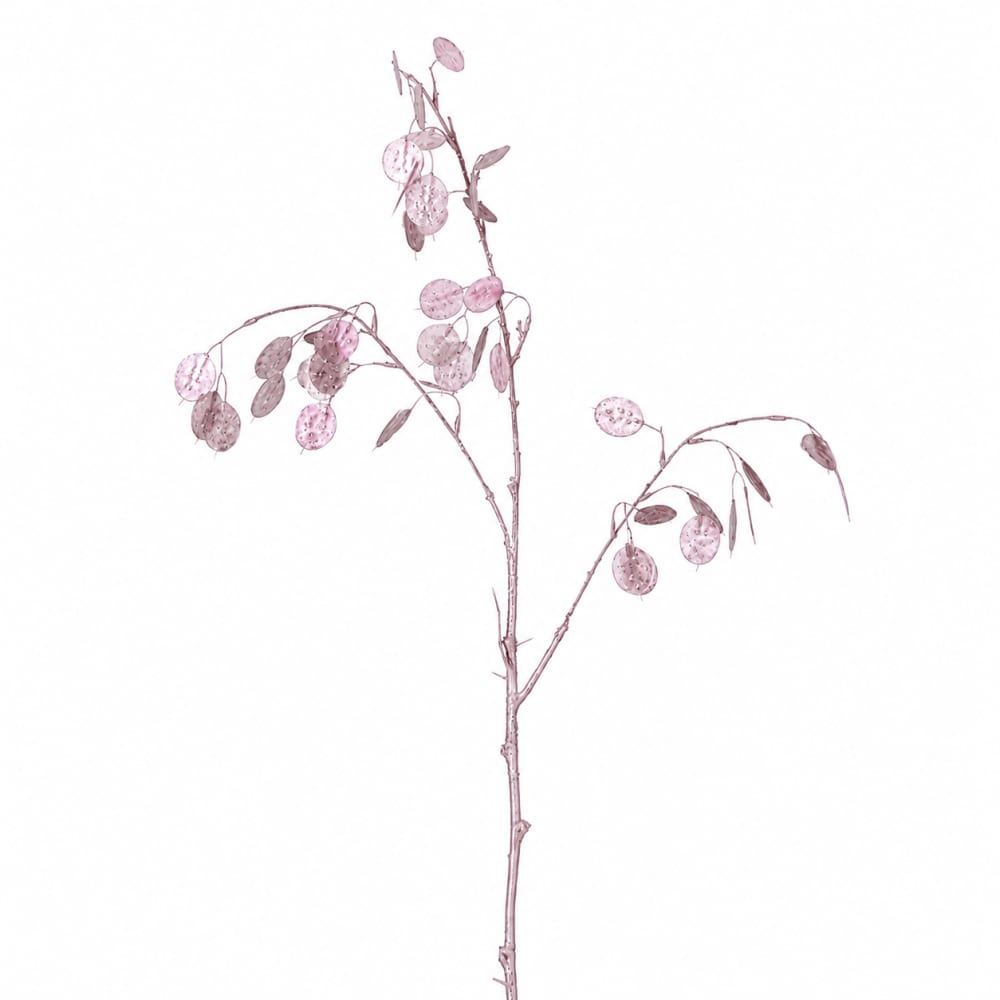 Fogliame artificiale di lunaria rosa h116 - Modello Contemporaneo - Rosa - PVC - Cloruro di polivinile