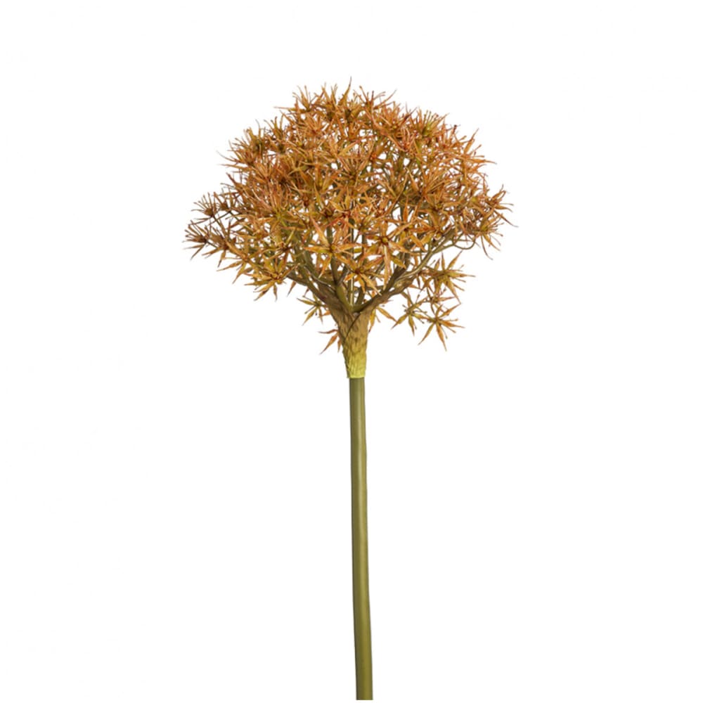 Stelo di allium atropurpureum arancio h89 - Modello Contemporaneo - Arancione - PES - Poliestere
