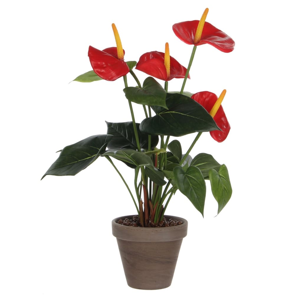 Mica Decorations Kunstpflanze Anthurium Rot Polyester H40xB30xL30cm style classic chic Rot Pes - Polyester