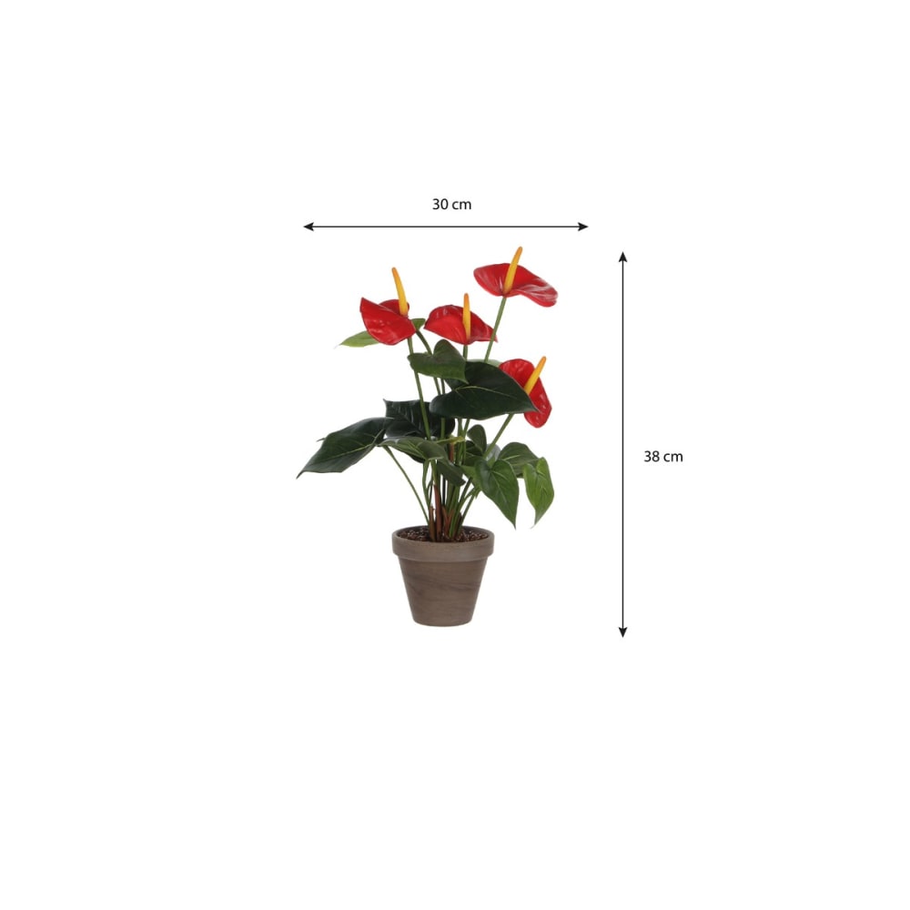 Planta artificial anthurium rojo h40xb30xl30cm - Maisons du Monde