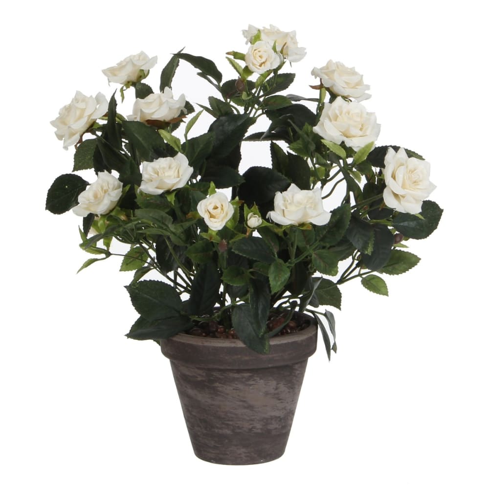 Pianta artificiale rosebush bianco h33xb25xl25cm - Modello Classico chic - Bianco - PES - Poliestere