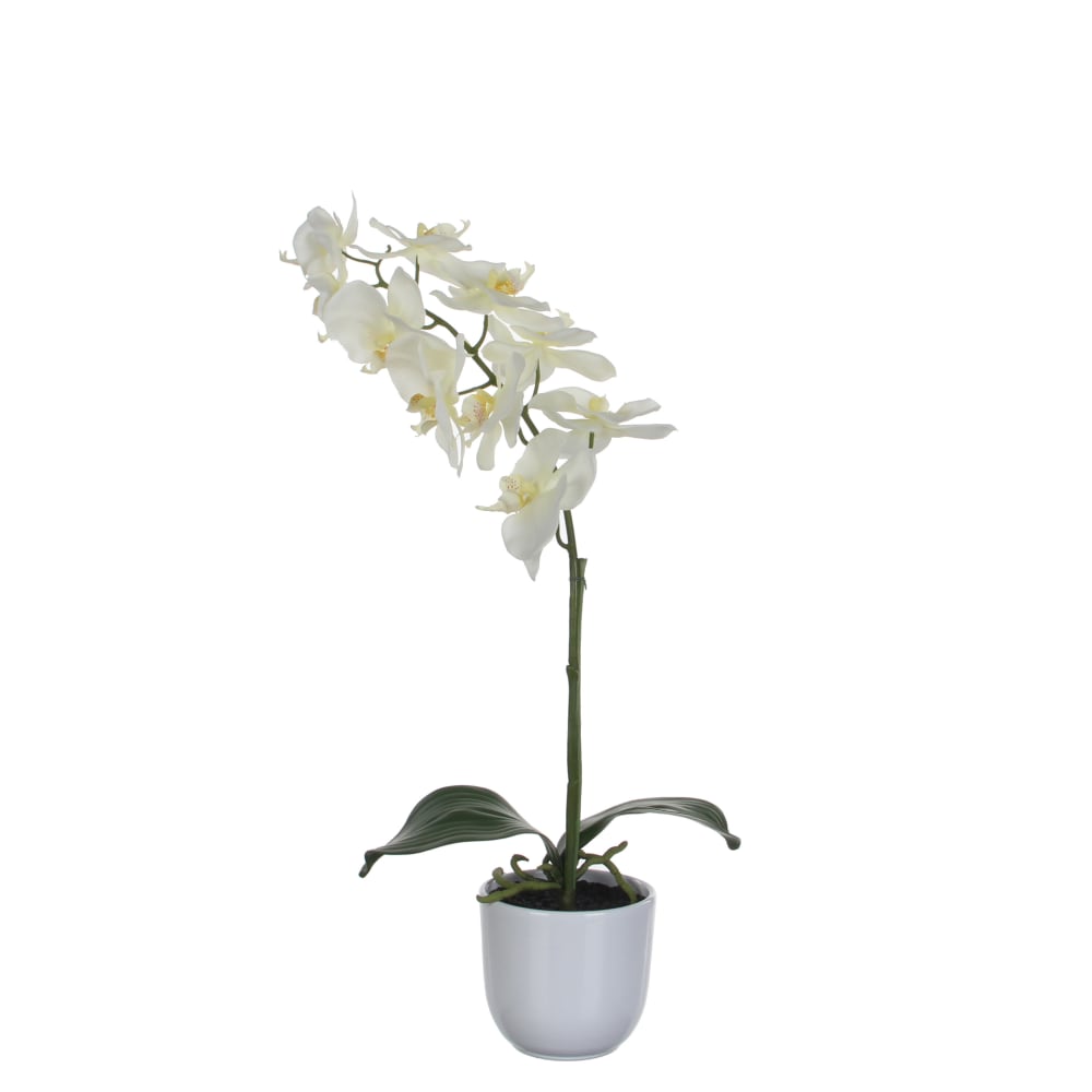 Mica Decorations Orchidée plante artificielle blanche en pot H60 style campagne - Pes - Polyester
