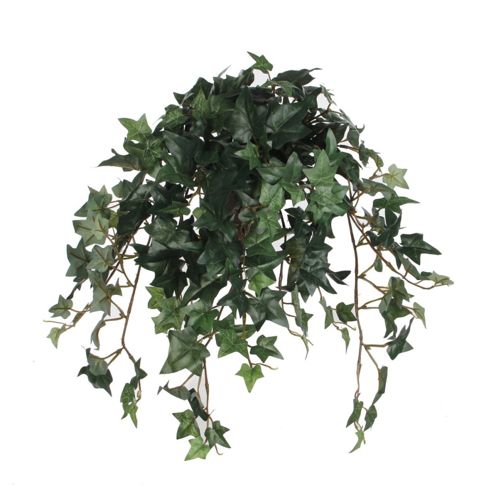 Mica Decorations Kunstpflanze Ivy Grün Polyester H25xB25xL45cm style exotic Grün Pes - Polyester