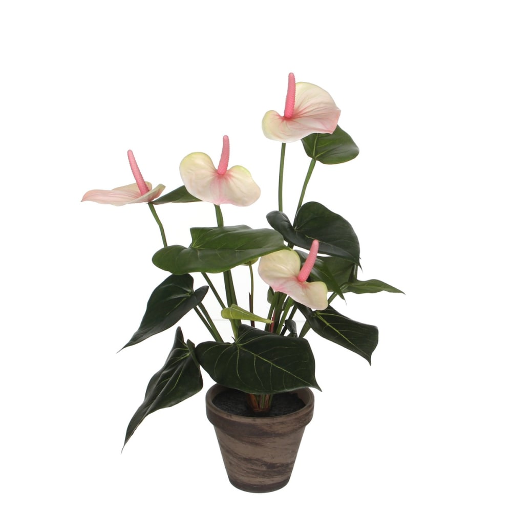 Mica Decorations Kunstpflanze Anthurium Hellrosa Polyester H40xB30xL30cm style classic chic - Pes - Polyester