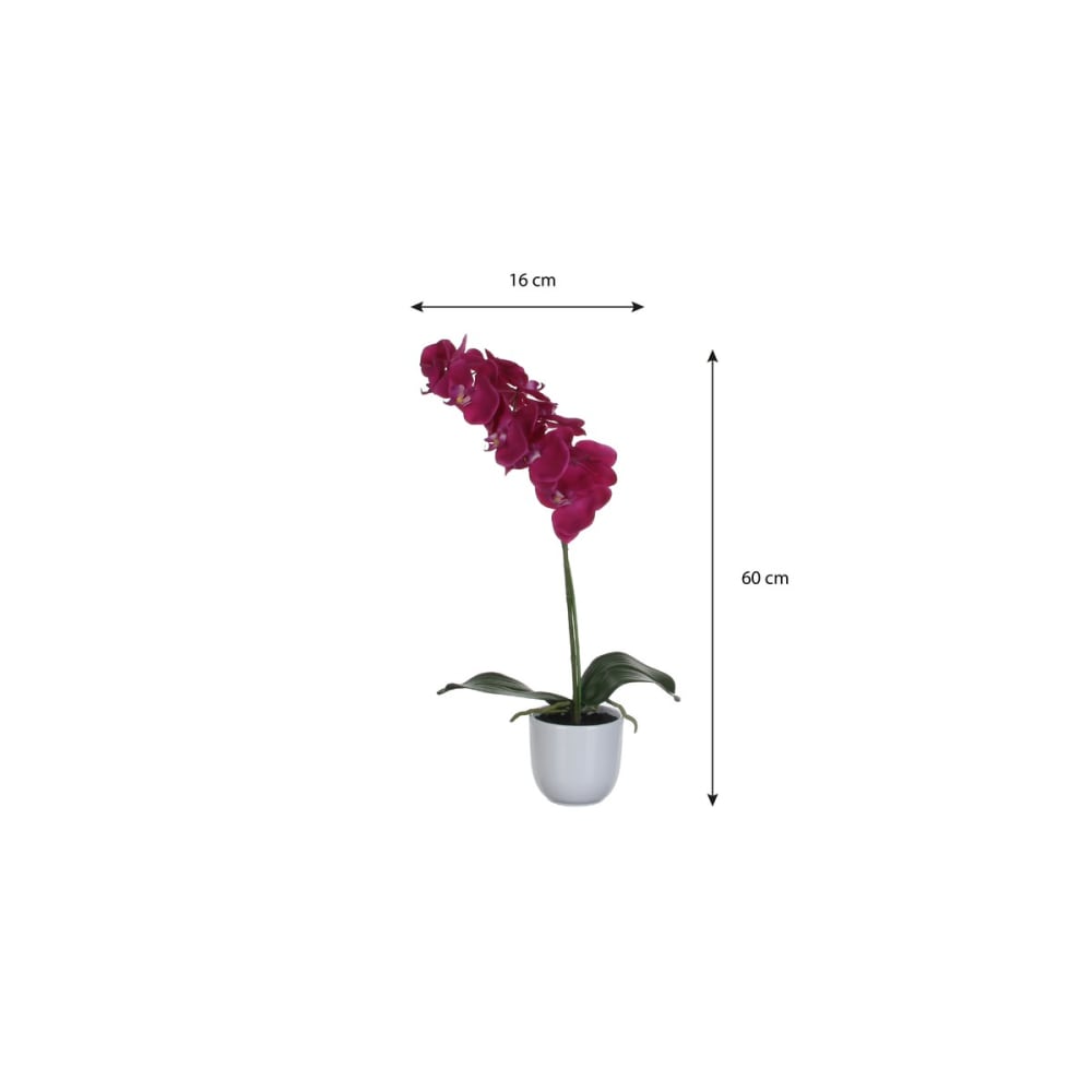 Pianta artificiale phalaenopsis viola h60xb16xl16cm - Mica