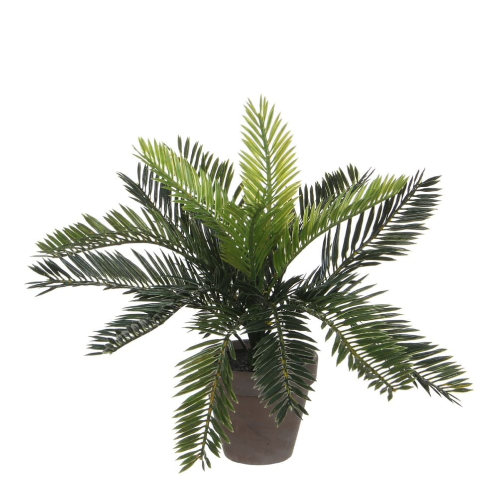 Pianta artificiale cycas verde h33xb34xl34cm - Modello Esotico - Verde - PVC - Cloruro di polivinile
