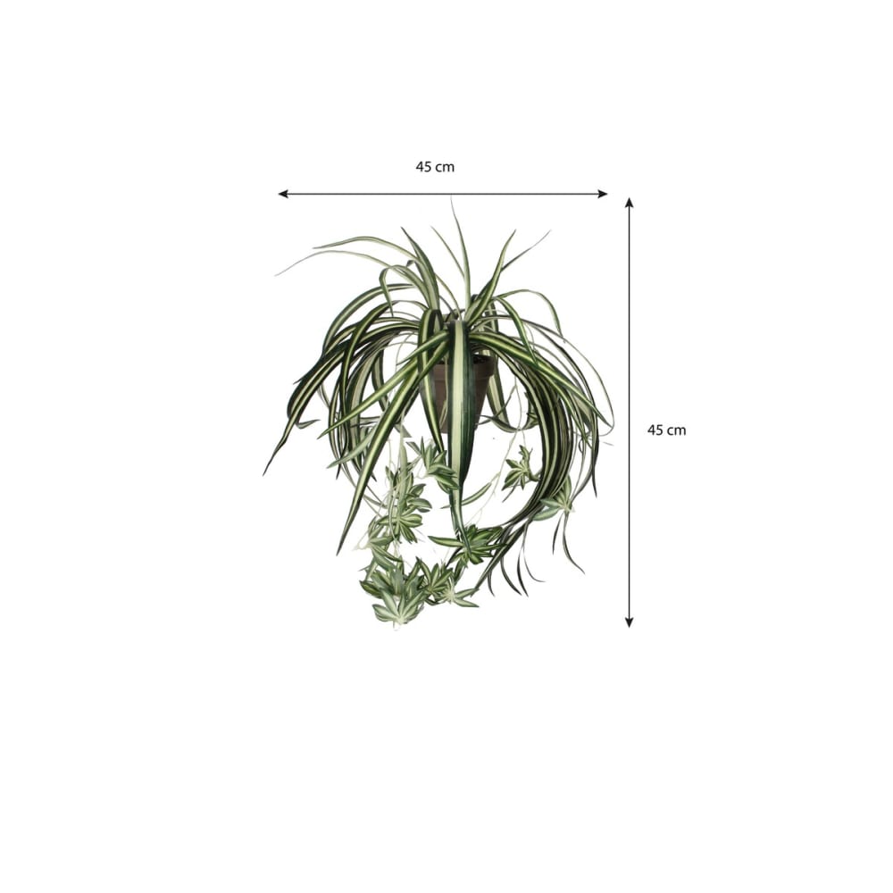 Planta artificial chlorophytum verde h45xb45xl45cm - Maisons du Monde