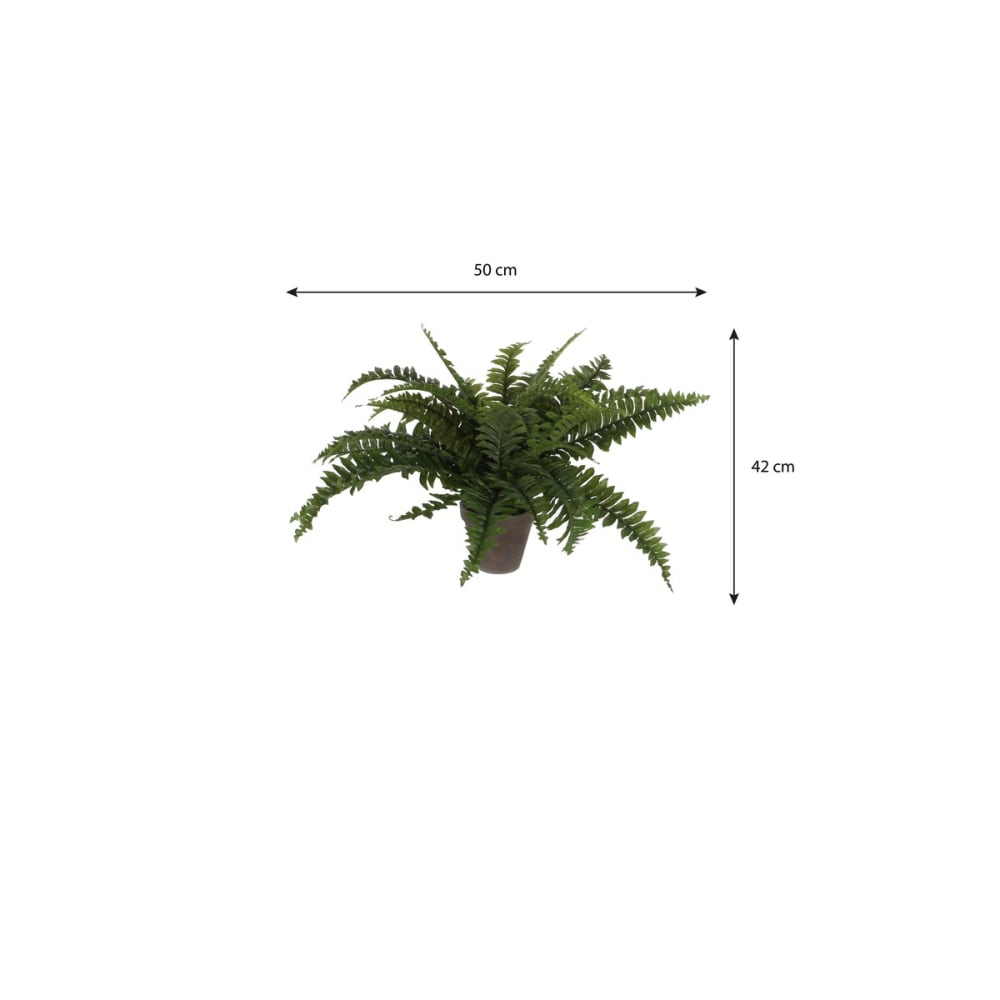 Planta artificial boston fern verde h42xb50xl50cm - Maisons du Monde