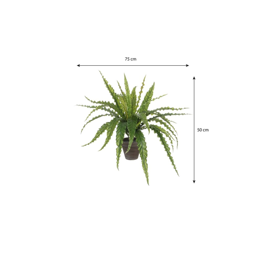 Planta artificial asplenium verde h54xb66xl66cm - Maisons du Monde