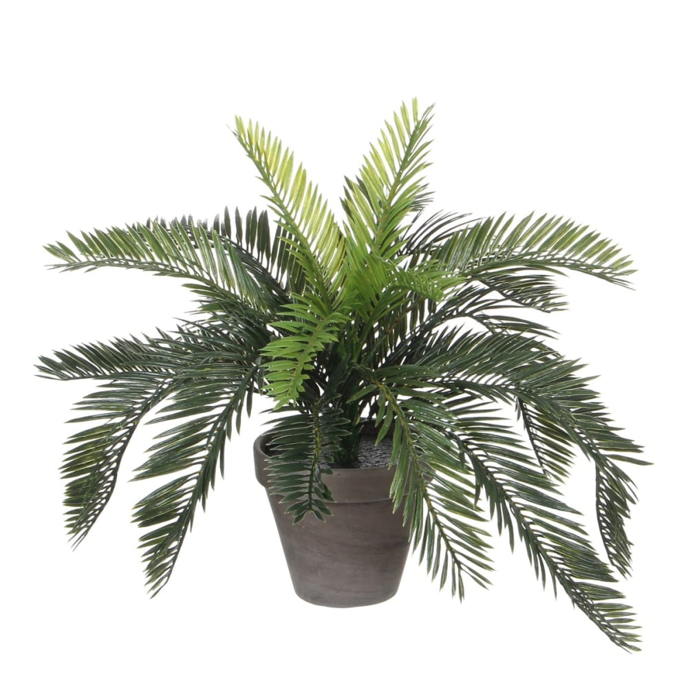 Pianta artificiale cycas verde h37xb44xl44cm - Modello Esotico - Verde - PVC - Cloruro di polivinile