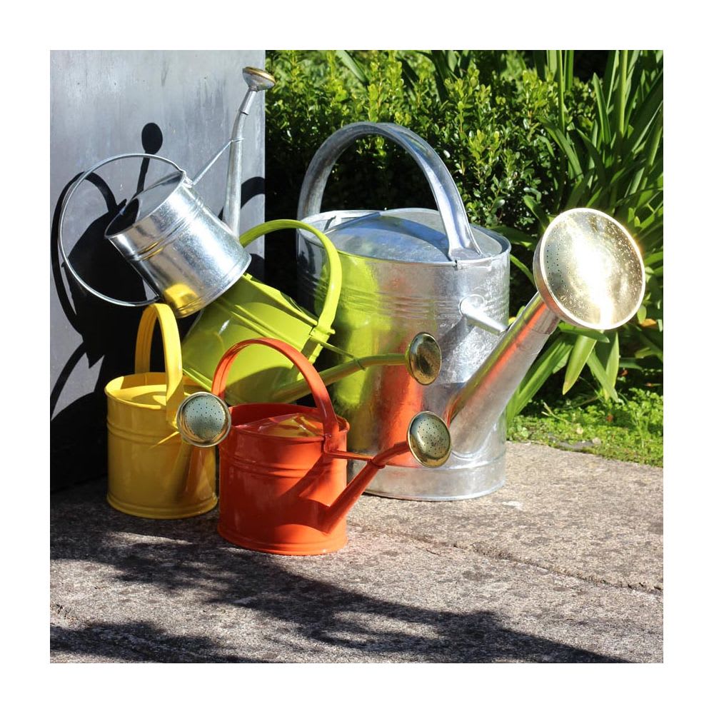 Arrosoir en acier galvanisé avec pomme 1.75 litres vert vieilli - Maisons du Monde