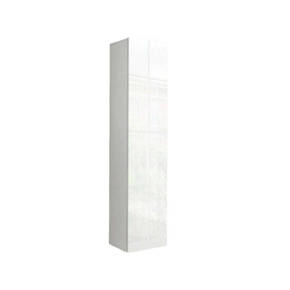 Armoire polyvalente 1 porte effet bois blanc brillant 40x30 cm