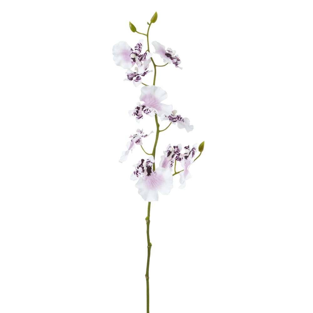 Stelo di orchidea oncidium viola H58 - Sia Deco