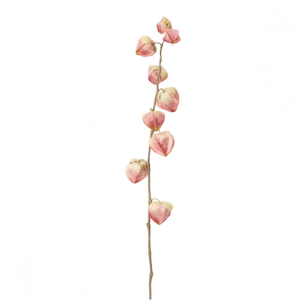 Stelo di uva spina rosa h54 - Modello Contemporaneo - Rosa - PVC - Cloruro di polivinile