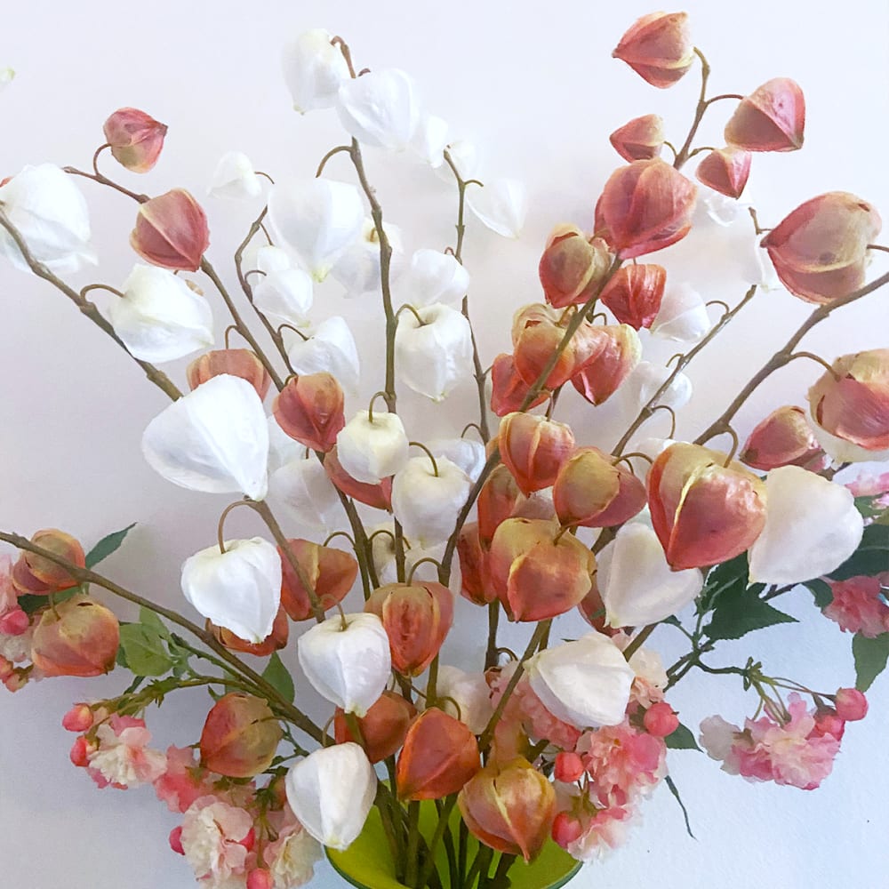 Stelo di uva spina rosa h54 - Sia Deco