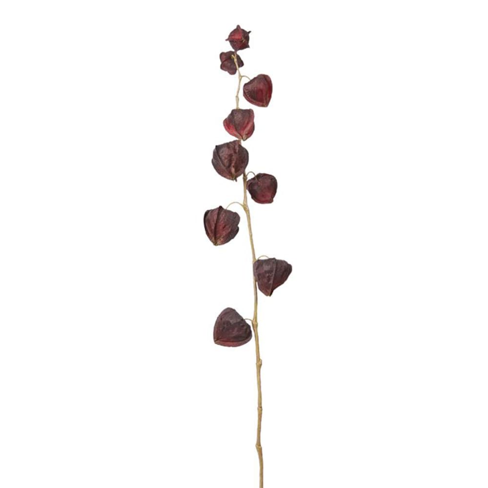 Stelo di uva spina bordeaux h54 - Modello Contemporaneo - Rosso - PVC - Cloruro di polivinile