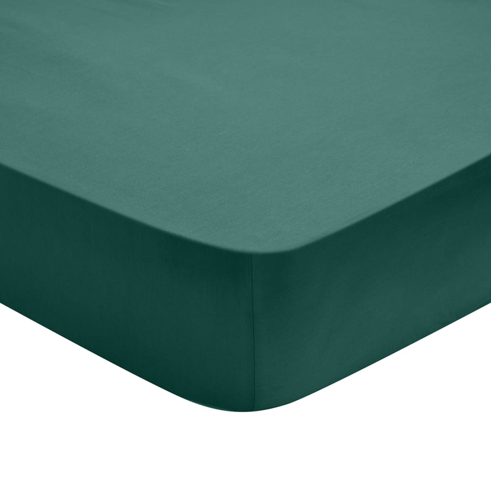 Drap housse percale forêt 140x200 cm