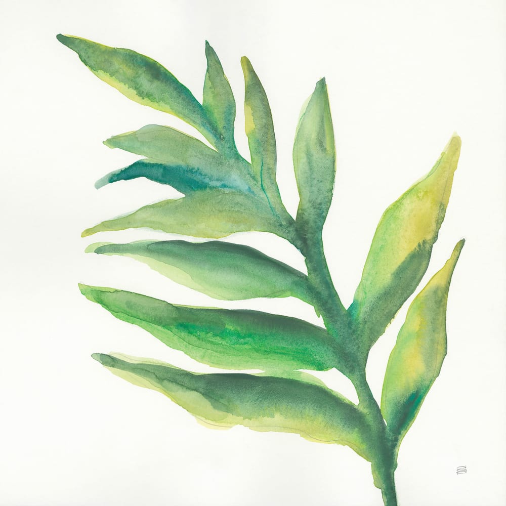 Tableau plante aloe watercolor imprimé sur toile 50x50 cm