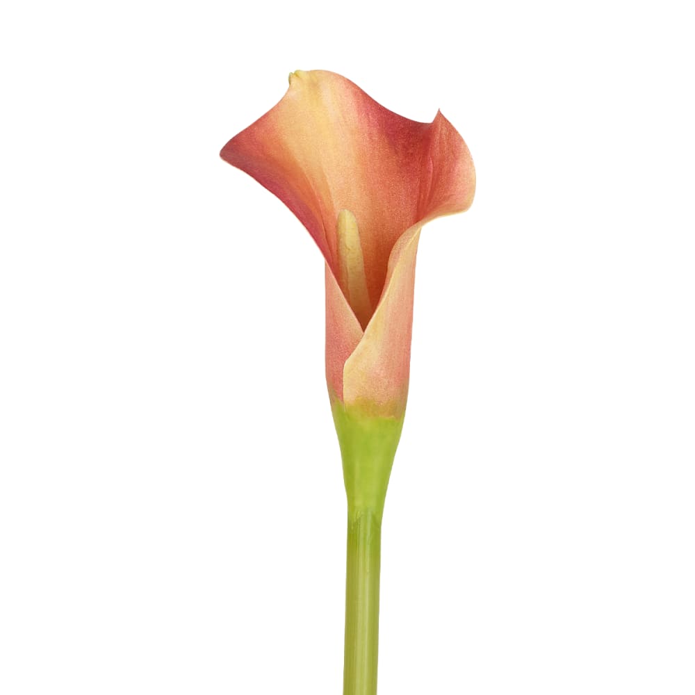 Künstlicher Arum Kelly-Stiel H52, Orange - Maisons Du Monde