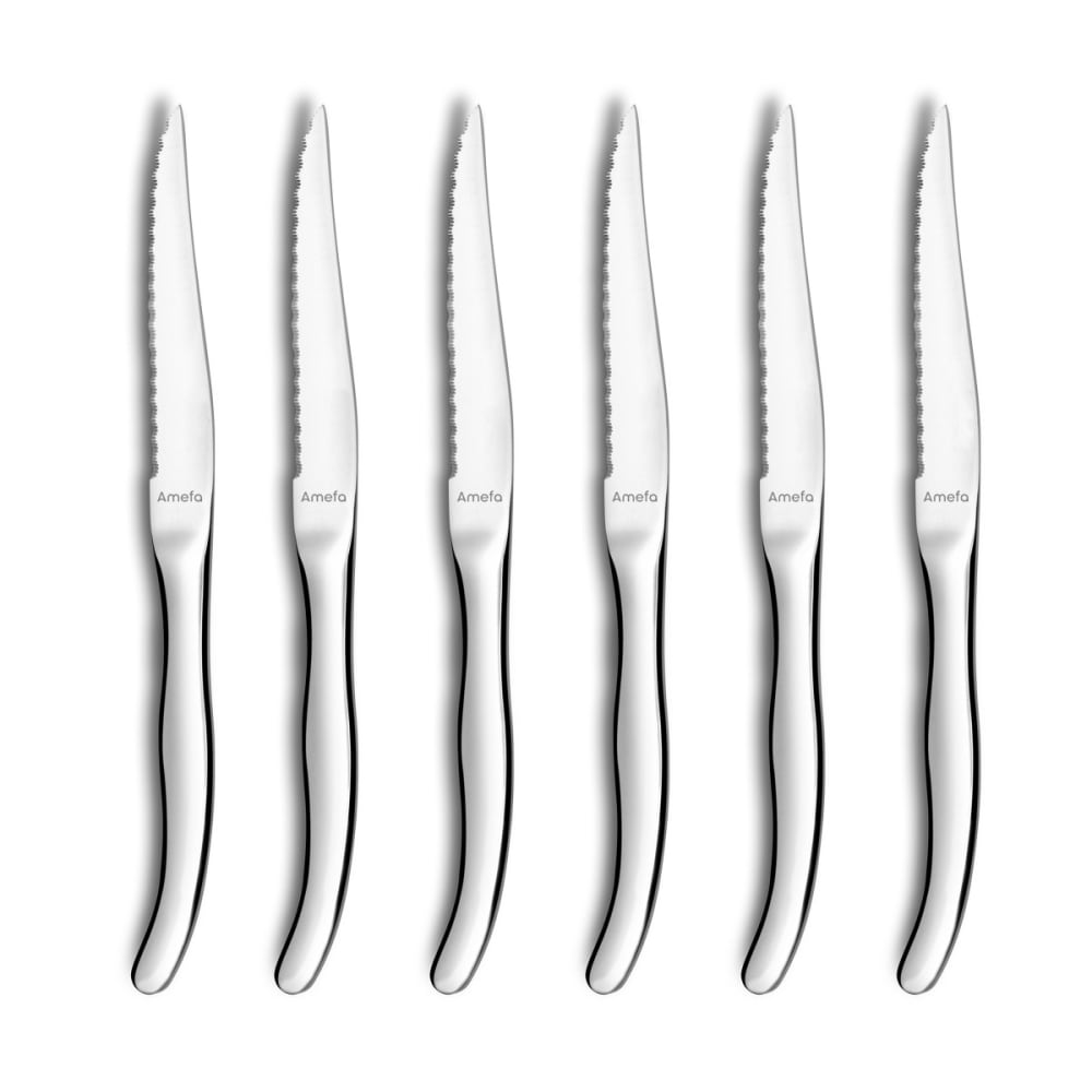 coffret 6 couteaux steak