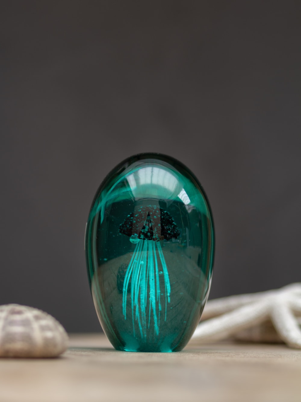 Schwefelqualle als Dekoration, blau - Maisons Du Monde
