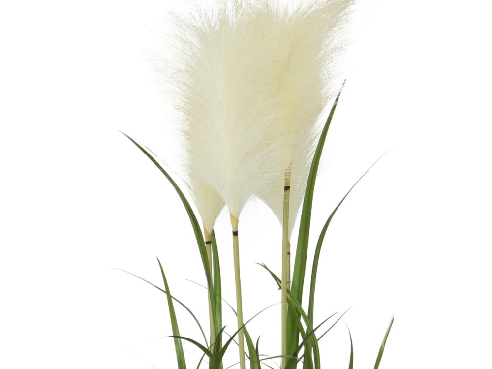Plante Artificielle Herbes Pampas En Pot Plastique - diamêtre 40 x 100 cm - Maisons du Monde