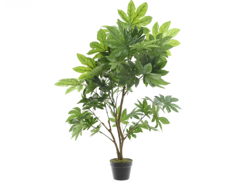 Plante Artificielle Aralie En Pot