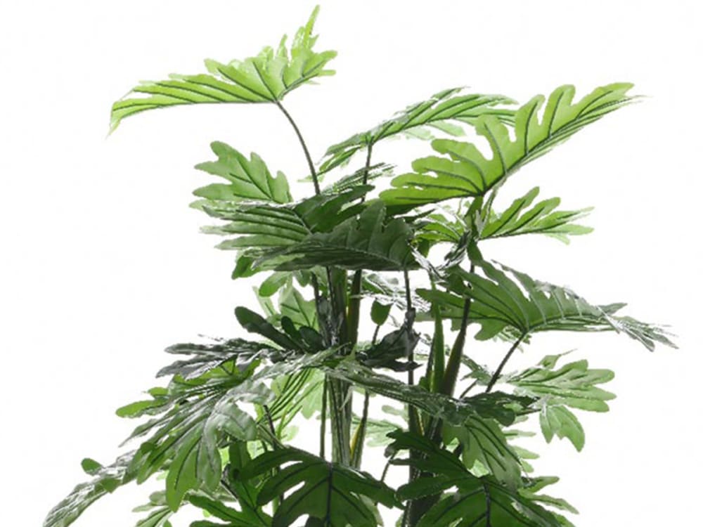 Philodendron artificiel en plastique vert - Maisons du Monde