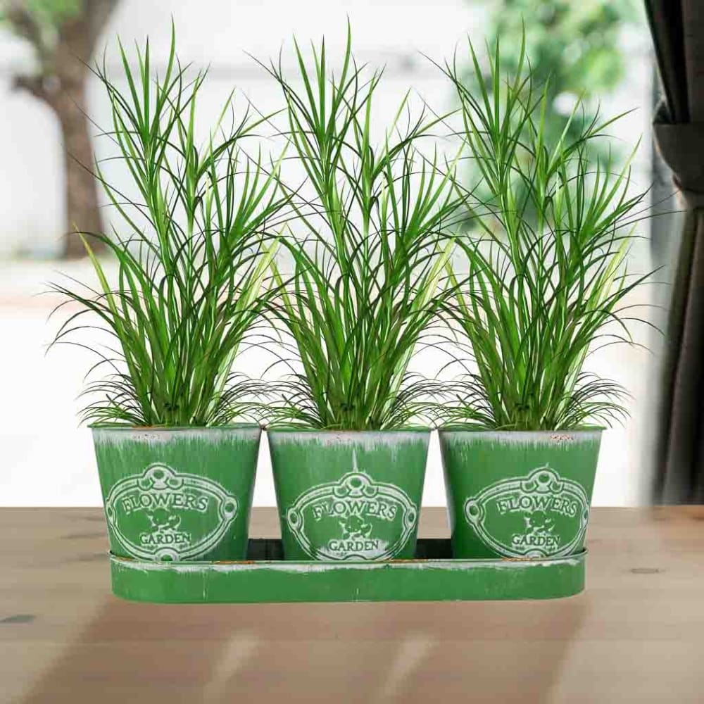 Cubos de metal y bandeja verde 36.5x10.5x3.5h-cubo d13x12h cm b:9.5 - Maisons du Monde