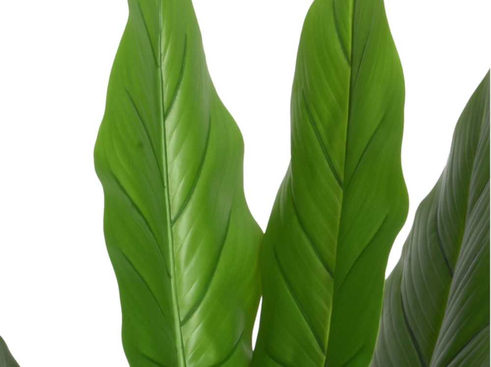 Strelitzia artificielle en pot plastique vert - Maisons du Monde